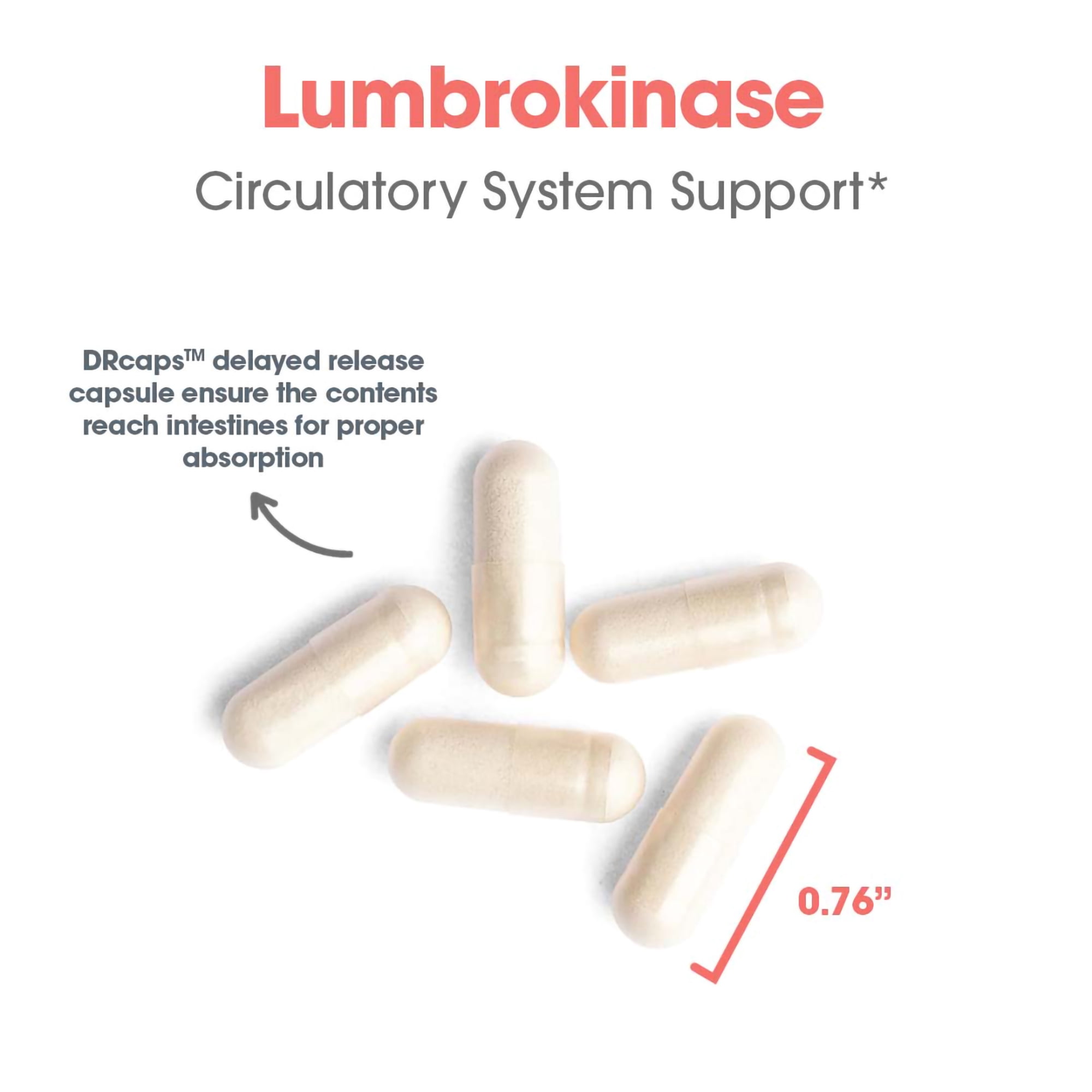 ARG Lumbrokinase - 32 mg Lumbrokinase - Circulatory System Support - Delayed-Release Capsules - Gluten-Free & Non-GMO - 15 Servings - 30 Capsules
