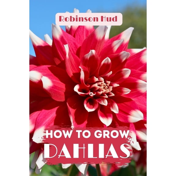 How to Grow Dahlias: Easy guide to planning, planting and growing, (Paperback)