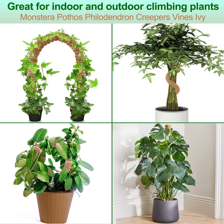 LANNEY Bendable Moss Pole for Plants, 2-Pack 25 In. photo 4