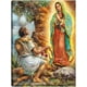 thumbnail image 1 of Cuadro Decorativo - Señora de Guadalupe y Juan Diego Jr  Impresión en canvas, estrechado., 1 of 2