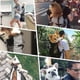 thumbnail image 4 of Pet Backpack Breathable Pet Dog Carrier Bag For Large Dogs Bulldog Backpack Adjustable Travel Bags, 4 of 5