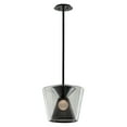 thumbnail image 1 of Troy Lighting Berlin 1-LT Pendant Medium - Gun Metal - F5852, 1 of 2
