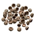 thumbnail image 1 of Cateissary 100 Unids Bellotas Naturales Bellotas Reales Tapas Hogar DIY Navidad Bellota Natural Kits de decoración para fiestas Tapas de bellota 100 uds/paquete, 1 of 1