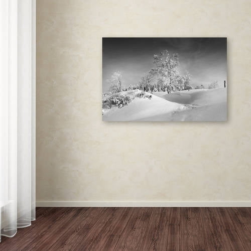 Trademark Fine Art "Dressed For Winter B&W" Canvas Art by Philippe Sainte-Laudy