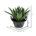 thumbnail image 2 of Vickerman 7.5" Artificial Green Succulent in Galvanized Pot., 2 of 2