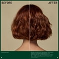 thumbnail image 4 of Aveda - Shampooing Be Curly Advanced (250ml), 4 of 8