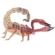 thumbnail image 1 of de Modelo de Animal Escorpión Amarillo Juguete Decoración para hogar Coleccionable, 1 of 7
