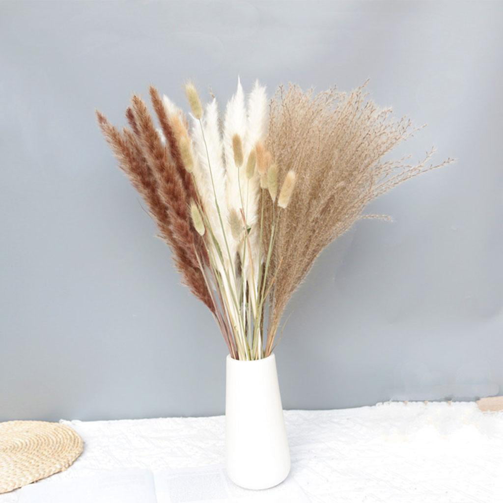 White for Weeding Supplies 1 Bunch/60 Pcs Wedding Decoration Dried Grass Rabbit Tail Hay Natural Plants Dried Flowers for Photography Flower Arrangement 