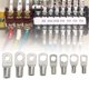 thumbnail image 5 of Terminal de tubo BuyWeek Kit de terminales de piezas eléctricas con hebilla SC plateada 60 piezas, 5 of 8