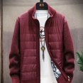 thumbnail image 3 of Ropa de hombre de cuello alto con cremallera, chaleco de negocios, suéter de punto azul sin mangas con cremallera, chaleco de cuello alto rojo para hombre, sudadera A, 3 of 5
