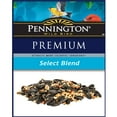 thumbnail image 4 of Pennington Premium Select Blend Dry Wild Bird Feed and Seed, 20 lb., 1 Pack, 4 of 10