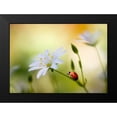 thumbnail image 2 of Disher, Mandy 24x18 Black Modern Framed Museum Art Print Titled - Summer beauties, 2 of 5