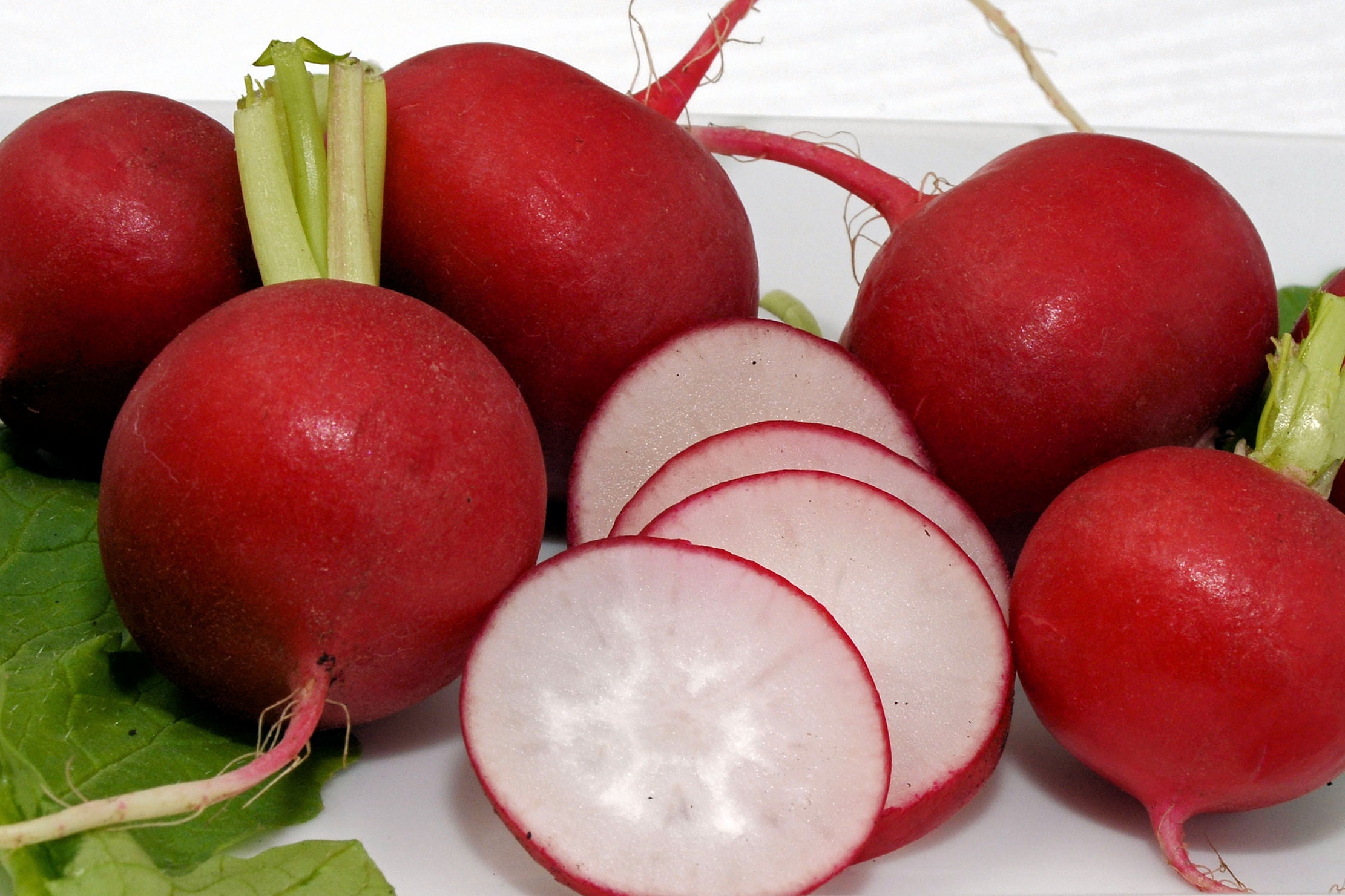 SEED Pack = =100 Seeds Champion Radish Gourmet Garden Vegetable seed