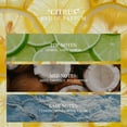 thumbnail image 4 of Perfume de limón para mujer | Fragancia cítrica fresca y duradera | Notas unisex de menta y cedro | Aroma floral afrutado | Botella de 50ml | Eau de Parfum para Todo el Día | Ropa durante todo el año, 4 of 7