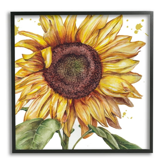 Stupell Industries Modern Country Sunflower Botanical & Floral Painting Black Framed Art Print Wall Art, 12 x 12