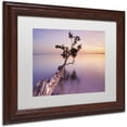 thumbnail image 3 of Trademark Fine Art "Water Tree XI" Canvas Art by Moises Levy White Matte, Wood Frame, 3 of 4