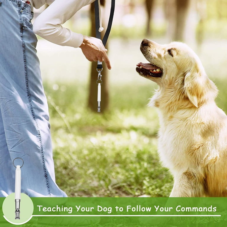Leash Pulling Leash How To Train Your Dog From Barking Dog Bark