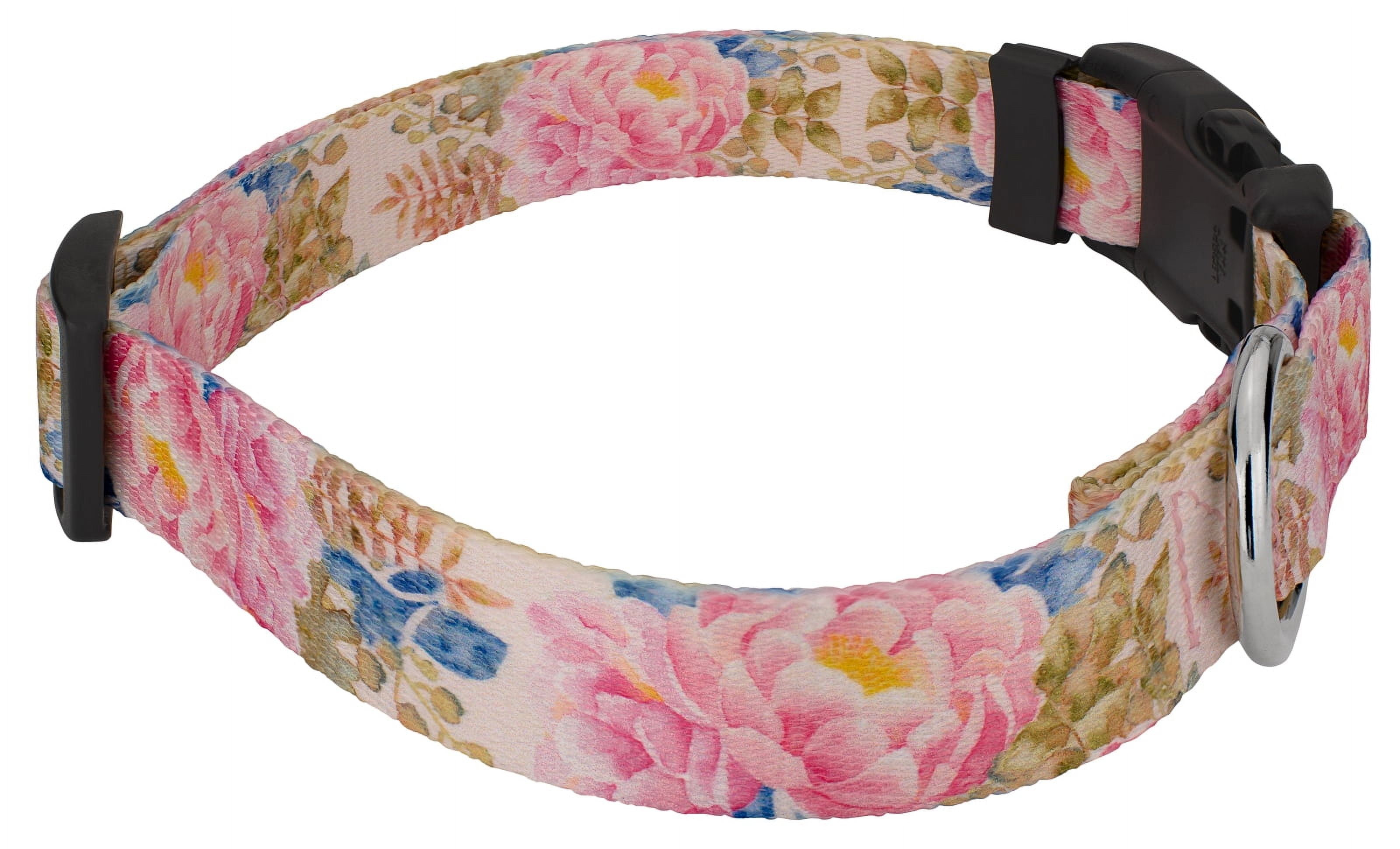 Country Brook Petz® Watercolor Peonies Everyday Dog Collar and Leash, Small