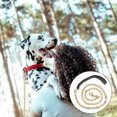 thumbnail image 3 of FUEENIRVA Sturdy Stainless Steel Dog Hauling Cable Golden Color for Small and Medium Pets, 3 of 5