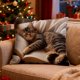 thumbnail image 4 of Cute Sleeping Cats And Book Pillowcase Short Pile Living Room Sofa Pillowcase Soft Cushion Cover, 4 of 6