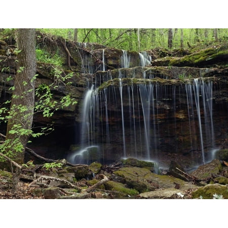 Pig Trail Falls along Mulberry National Wild, Turner's Bend, Arkansas Print Wall Art By Tim