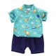 thumbnail image 1 of Odeerbi 1-8 Años Conjunto de Verano Para Niños de Hawaianos Camiseta de Manga Corta de Algodón Con Estampado Tropical Conjunto de Dos Piezas de Gráficos, 1 of 5