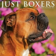 Just Boxers 2024 12 X 12 Wall Calendar (Other)