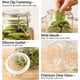 thumbnail image 5 of Juego de botes de vidrio ComSaf herméticos de 1 litro (34 oz) con tapas x3, 5 of 9