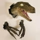 thumbnail image 3 of Resina De Dinosaurios, Dinosaurios Que Revientan En La Pared, Decoración Del Hogar Para Dormitorio, Sala De Estar, Pasillo Scienceny HA040326-01, 3 of 6