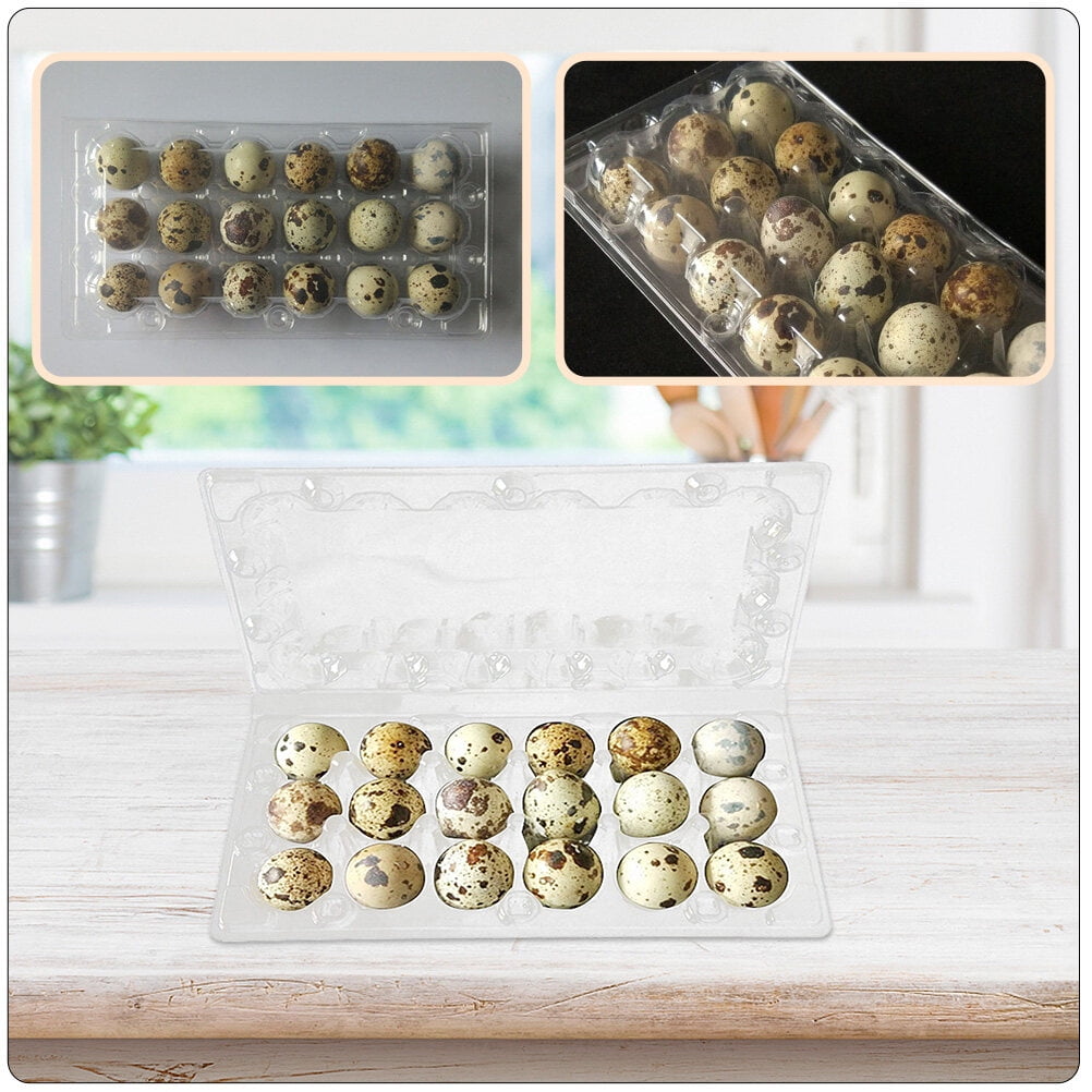 CATIEBYE Transparent PVC Egg Box for Storage Quail Egg Holder Container with Grid Design 40Pcs