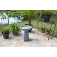 Pedestal Outdoor Bird Bath with Gray Finish