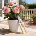 thumbnail image 6 of Professional Stainless Steel Pruning Shears, Ergonomic Bypass Secateurs, Ideal for Trimming Flowers and Plants, Perfect Gardening Tool for Outdoor Enthusiasts, Great Gift for Garden Lovers, 6 of 7