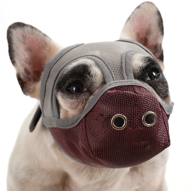 Lightweight PVC Mesh Dog Muzzle for Anti-Biting, Anti-Chew, Barking Control & Wound Licking Prevention - Breathable Panting/Drinking Design for Alone Time & Walking - Size S, Grey Burgundy Color
