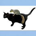 thumbnail image 3 of CafePress - Squirrel On Cat Light T Shirt - Men's Classic Graphic T-Shirt, 3 of 4