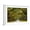 White Frame, variant on Art.com A Stunning, Long Path Lined with Ancient Live Oak Trees Draped in Spanish Moss in the Warm, Late Af Photographic Print by Serge Skiba, Brown Frame Wall Art, 44" x 32"