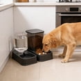 thumbnail image 4 of Dvkptbk plastic bowl Cats Bowl Two In One Drinking Water Dog Water Bowl Rice Bowl Pet Bowl Drinking Water Feeding All One Suitable for Dogs and Cats To Live and Drink Water, 4 of 6