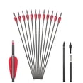 thumbnail image 2 of Other, 29 Inch Practice Spine 400 With Removable Tips For & & Traditional Bow (12 Pcs), Outdoor & Sport, 2 of 3