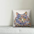 thumbnail image 3 of Creative Products Watercolor Cat 16x16 Spun Poly Pillow, 3 of 3