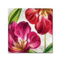 Trademark Fine Art 'Open Arms I' Canvas Art by Color Bakery