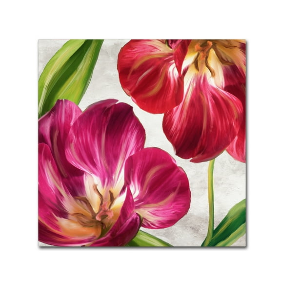 Trademark Fine Art 'Open Arms I' Canvas Art by Color Bakery