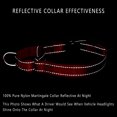 thumbnail image 4 of Plutus Pet Reflective Martingale Collar with Quick Snap Buckle, 4 of 7