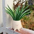 thumbnail image 5 of Maceta con Cara Sonriente, Maceta Divertida para Plantas de Interior y Exterior, Macetas con Cabeza , Maceta Decorativa con Cara Única A, 5 of 5