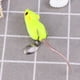 thumbnail image 4 of Señuelo de pesca de superficie para ratas, cebo artificial de simulación de ratón, anzuelo de agua dulce de largo alcance, juego de cebos para nadar en el mar (amarillo/10,5 g), 4 of 7