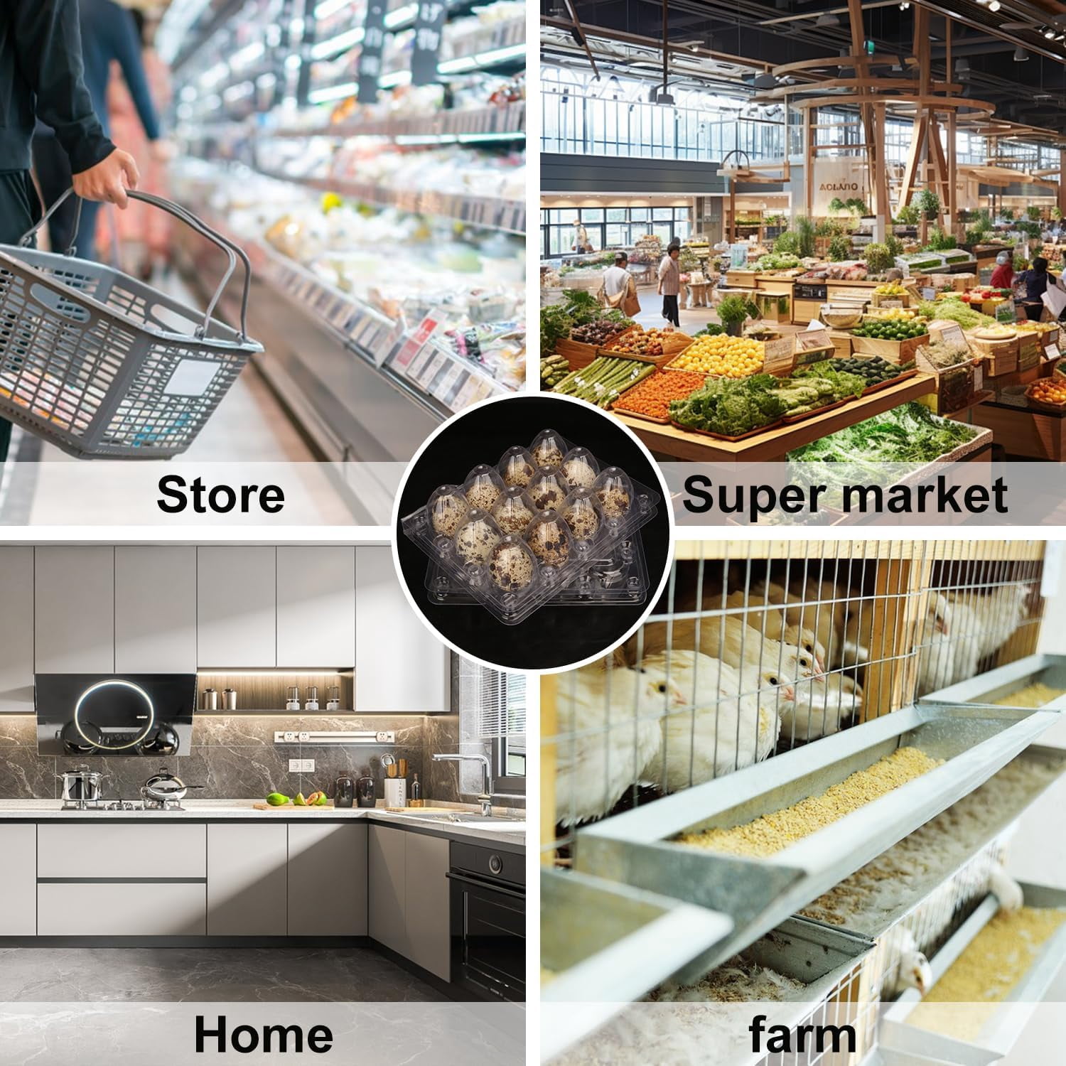 Clear Plastic Quail Egg Trays, Pack of 220 Cartons Holds 12 Eggs Securely for Bulk Storage and Display