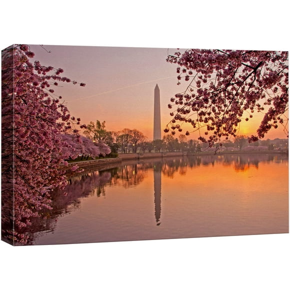 Impressions sur Toile Art Mural - Festival de Fleurs de Cerisier au Centre Commercial National Washington DC Décoration Murale Moderne/art Mural Galerie Étirée Impression Giclée & Cadre en Bois. Prêt à Accrocher - 16 Pouces" x 24 Pouces"