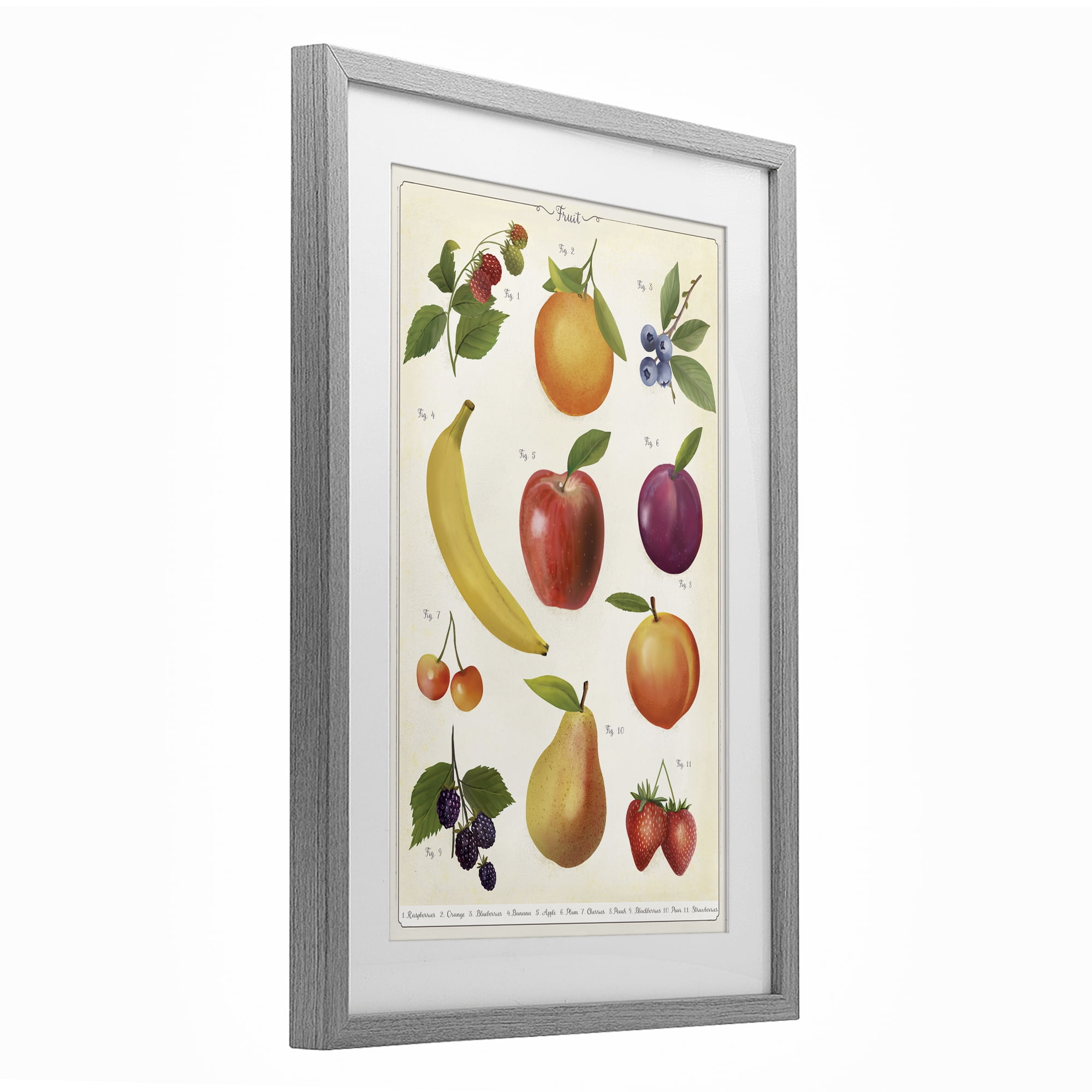 Stupell Industries Fruit Collection Studies Gray Framed Print Under Glass, design by Diane Neukirch