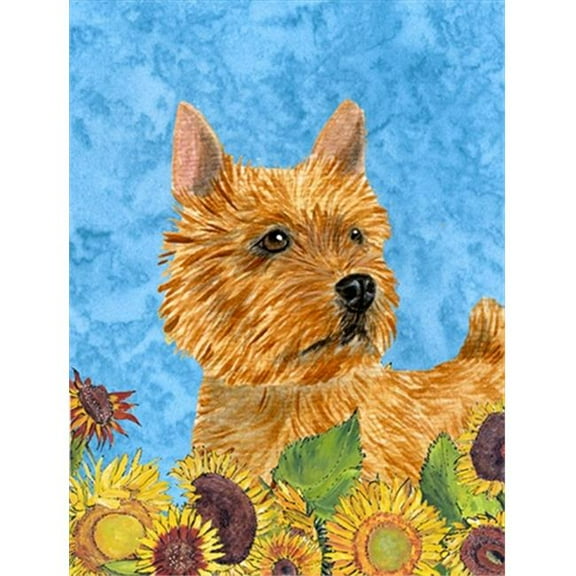 28 x 40 In. Norwich Terrier Flag Canvas, House Size