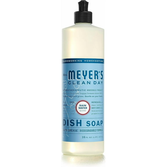 Dish Soap, Biodegradable Dishwashing Liquid made with Soap Bark and Aloe Vera, Sea Salt Neroli, 16 oz
