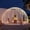 3.6 m White border, variant on Chantmo Garden Dome 9.5x5.7 ft 360 View Geodesic Greenhouse Clear PVC Cover Waterproof Bubble Tent House with 2 x 10M Light Strings for Outdoor Green