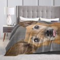 UltraSoft Micro Fleece Blanket,Dog Golden Retriever Funny Expression